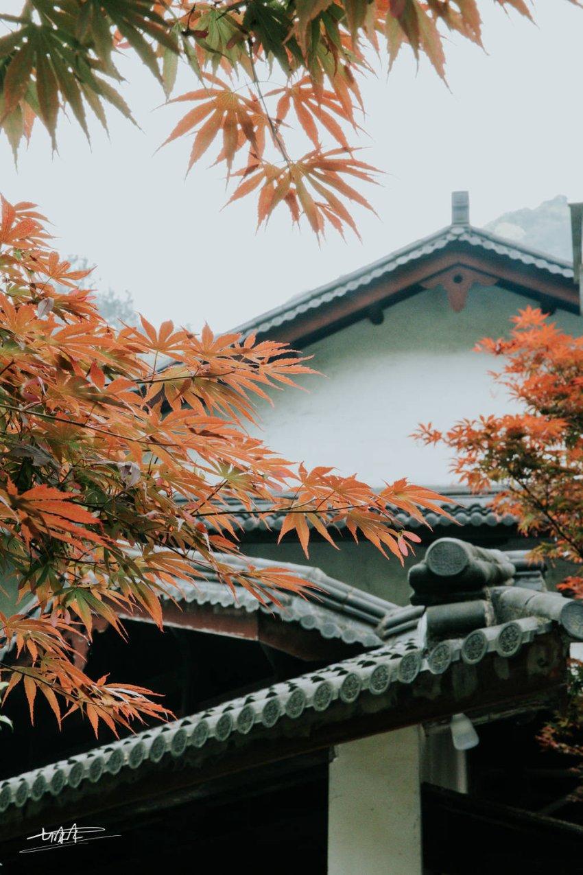 钻石开采者